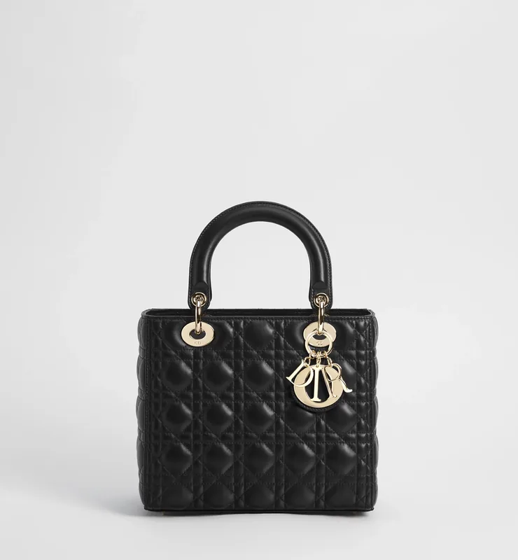 Dior レディ ディオール