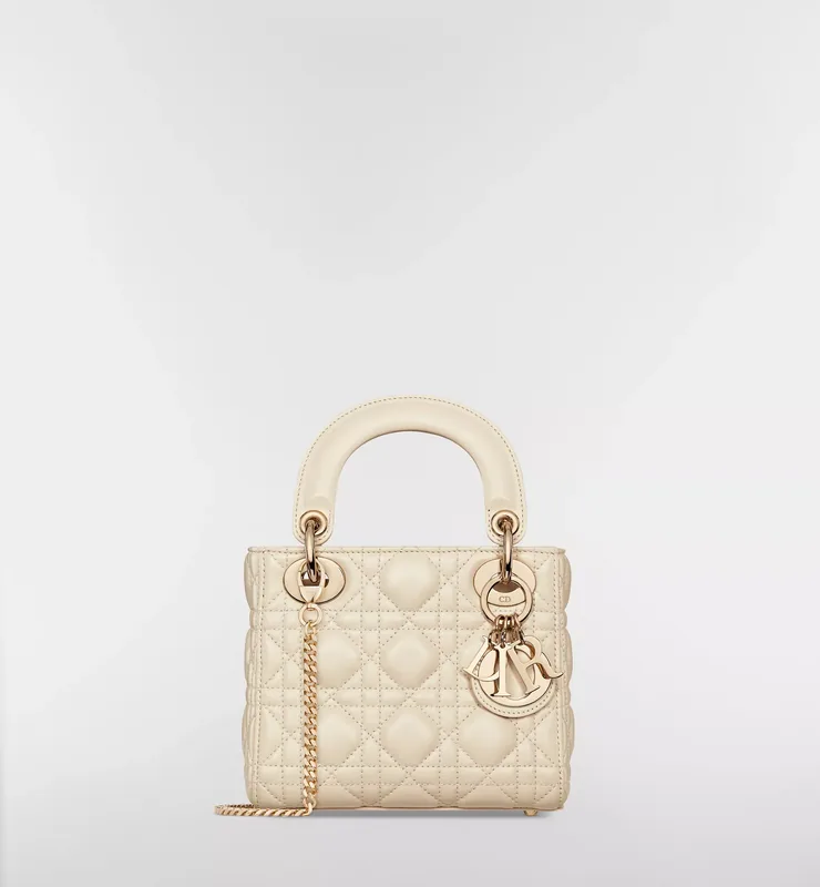 Dior ミニ レディ ディオール